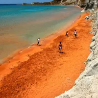 paralia_xi
