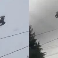 Περιστέρι