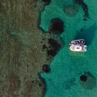 lagouna 