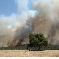 Πυρκαγιά στα Δερβενοχώρια