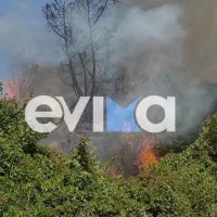 Φωτιά στην Κύμη Εύβοιας