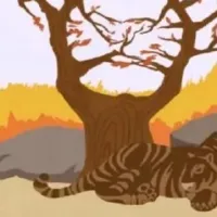 Οφθαλμαπάτη με τίγρη