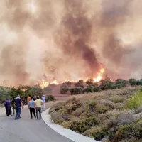pyrkagia_rodos