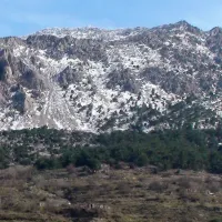 Θρυπτή
