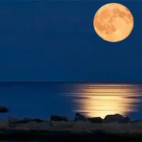 ΜΠΛΕ ΠΑΝΣΕΛΗΝΟΣ