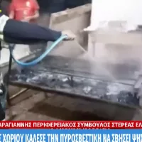 pirosvestiki