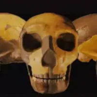 skeletos