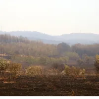 φωτιά Έβρος
