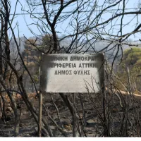 φωτιά Φυλή