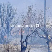 αρκαδία