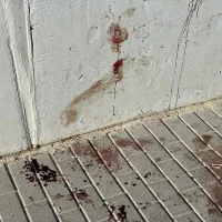 γεφυρα πριν από την πλύση