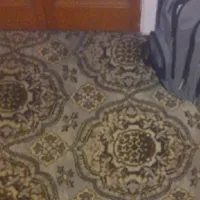 Οφθαλμαπάτη με χελώνα