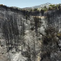 πυρκαγιά φωτιά καμένα