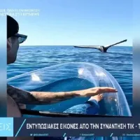 Συνάντηση tik-toker με φάλαινα