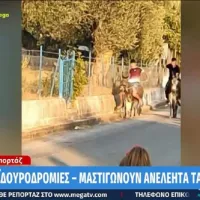 Ανήλικοι μαστιγώνουν γαϊδουράκια