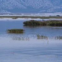 ΚΑΡΛΑ.