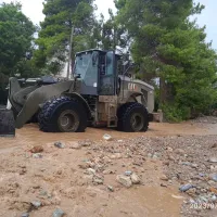 Καρδίτσα