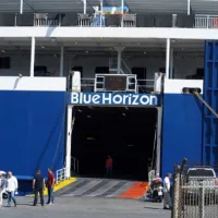 blue_horizon
