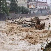 karditsa