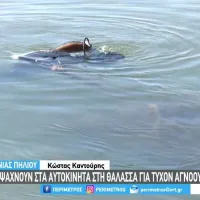 δύτες