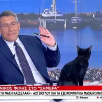 Μαύρη γάτα με Παυλόπουλο