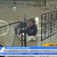 Η στιγμή που πρόεδρος χωριού σώζει σκυλάκι που έχει εγκλωβιστεί σε καγκελόπορτα