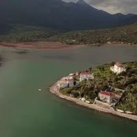 lakonia