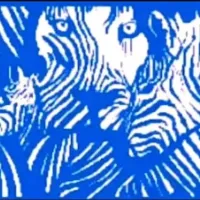 Οφθαλμαπάτη - τεστ