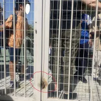 πορτα σχολειου
