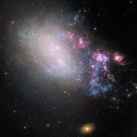 galaxias
