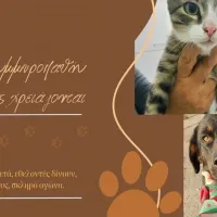 Αδέσποτα