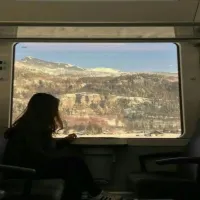 treno