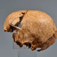 Κρανίο -Αρχαιολογική ανακάλυψη