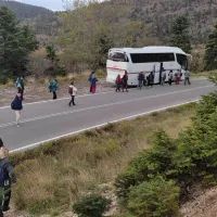 ελμε ευβοιας