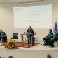λινα παν δ μακ