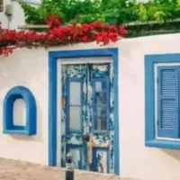 Οφθαλμαπάτη με γάτα σε νησί