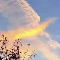 Οφθαλμαπάτη με πουλί
