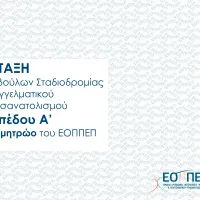 syep_mitroo