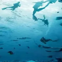 Ψάρια και δύτες