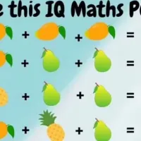 quiz