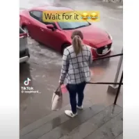 viral
