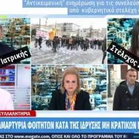 mega_foitites