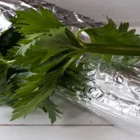 σέλινο