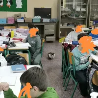 γατουλα