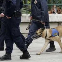 ναρκωτικα
