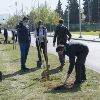 εκπα δενδροφυτευσεις