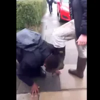 bullying