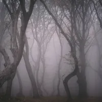 ρουμανια