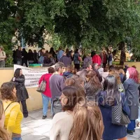 ελμε χανιων