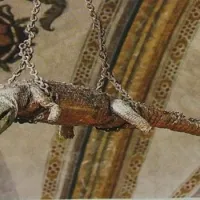 Κροκόδειλος κρέμεται από οροφή εκκλησίας